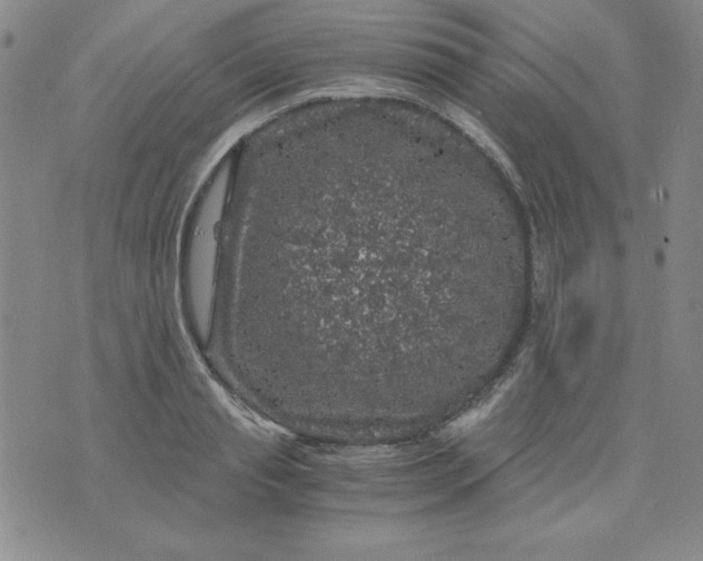 X0000075920845200610062206