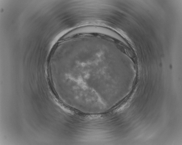 X0000075920846200610062206