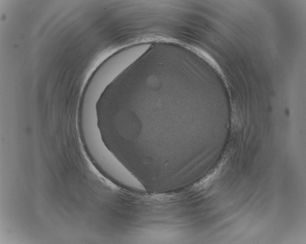 X0000075920847200610062206