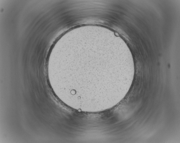 X0000075920848200610062206