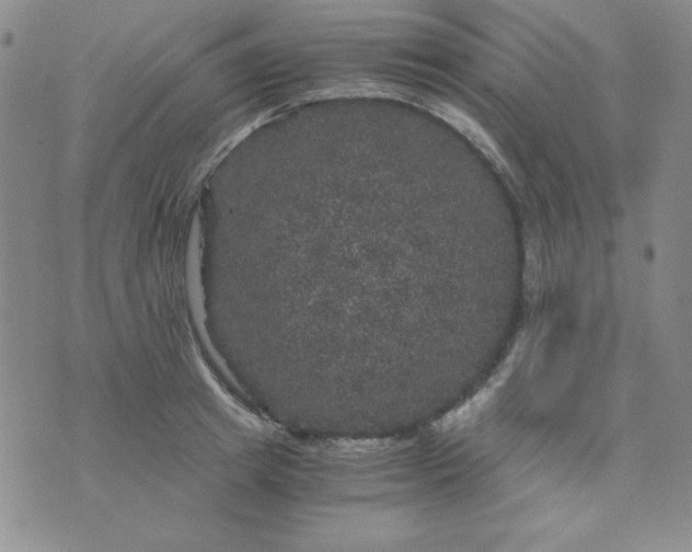 X0000075920849200610062206