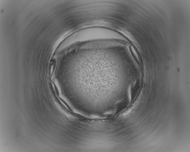 X0000075920850200610062206