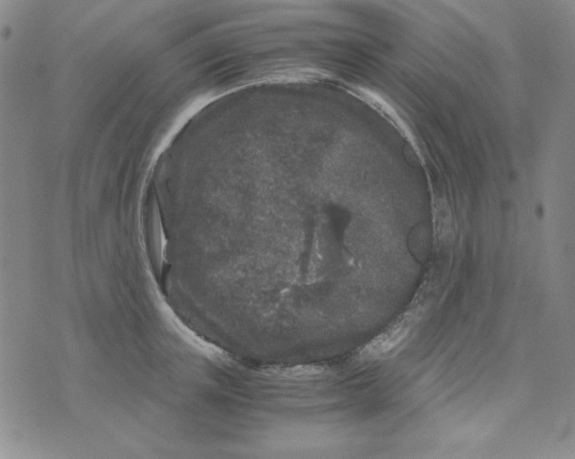 X0000075920851200610062206