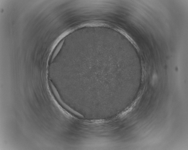 X0000075920853200610062206