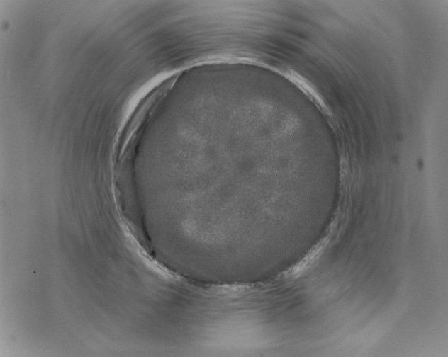 X0000075920854200610062206