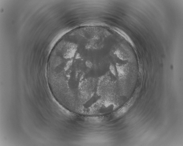 X0000075920855200610062206