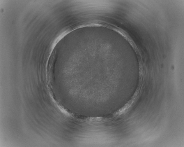 X0000075920858200610062206