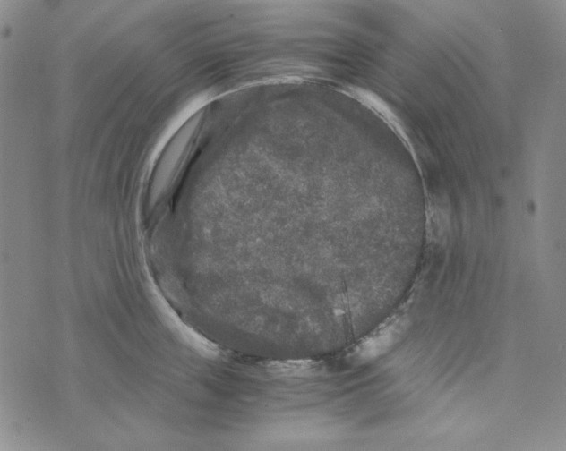 X0000075920859200610062206