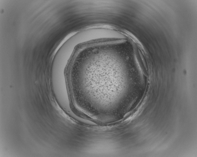 X0000075920860200610062206