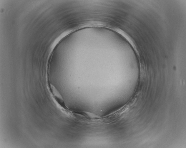 X0000075920861200610062206