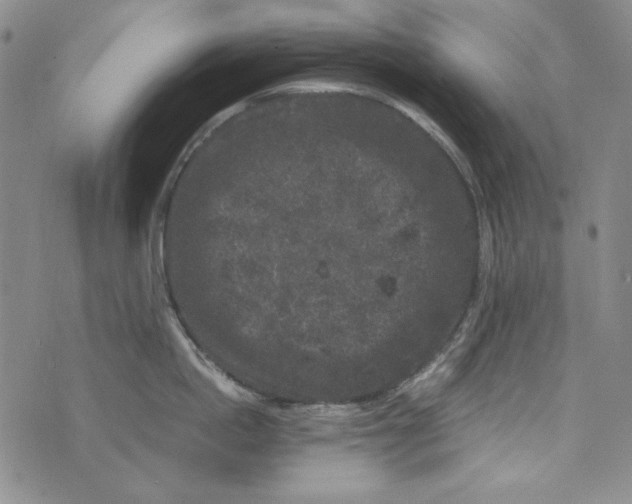 X0000075920862200610062206