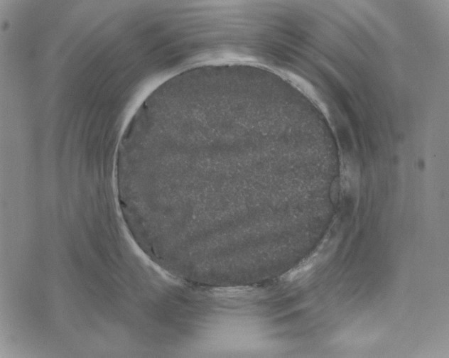 X0000075920863200610062206