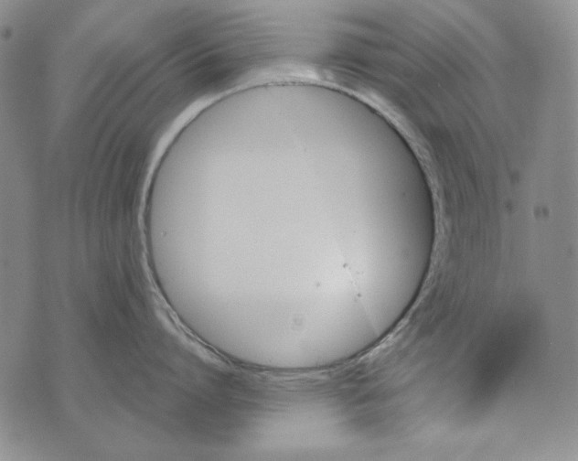 X0000075920864200610062206