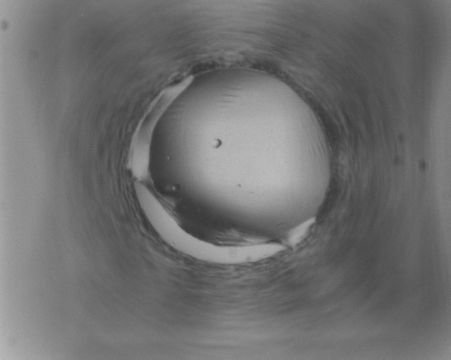 X0000075920865200610062205