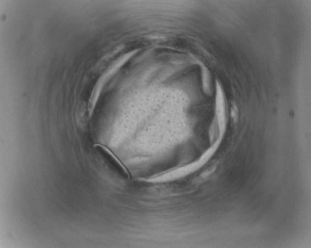 X0000075920867200610062205