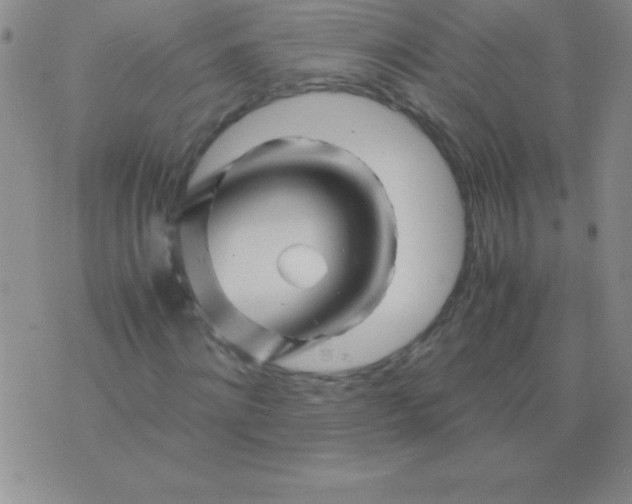 X0000075920868200610062205