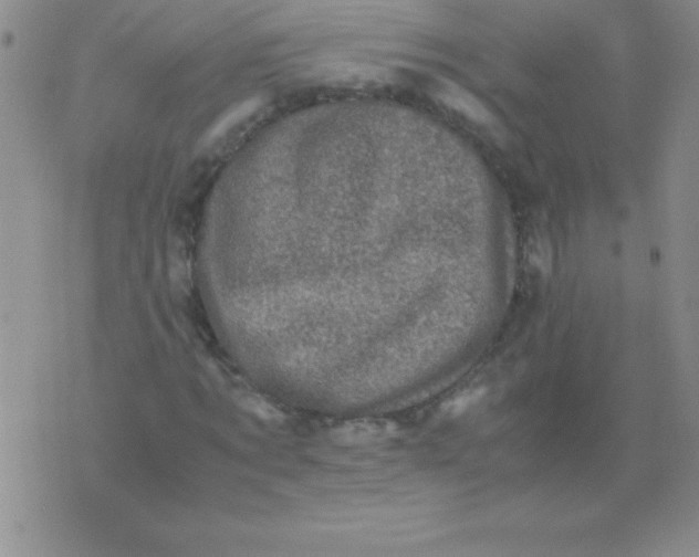 X0000075920869200610062205