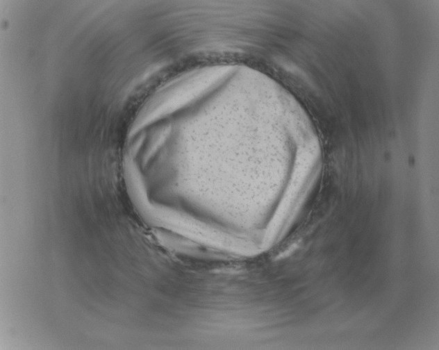 X0000075920870200610062205