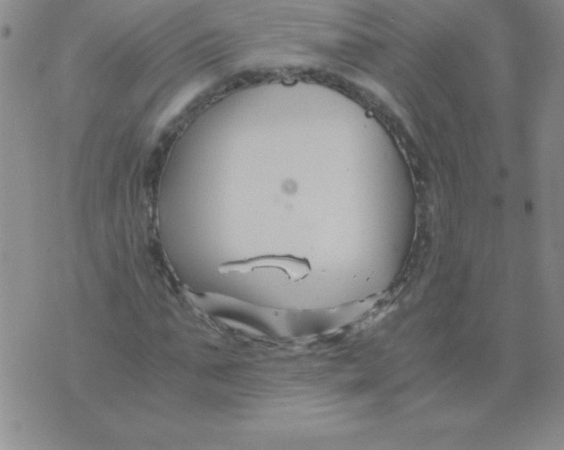 X0000075920871200610062205