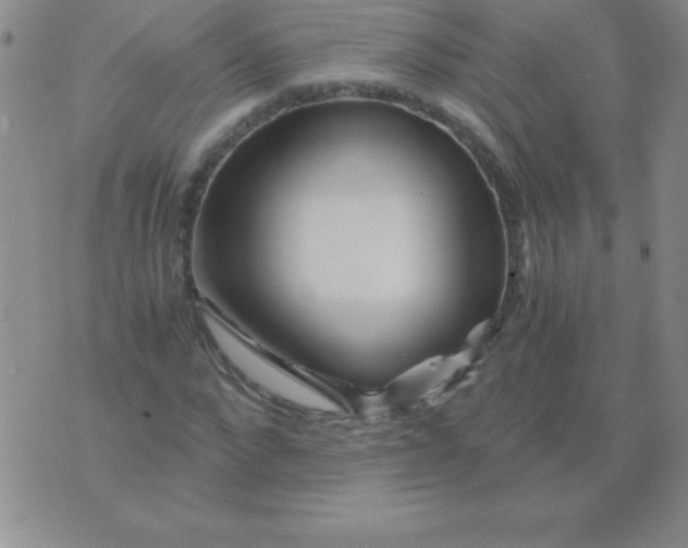 X0000075920872200610062205