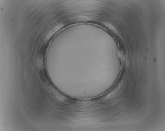 X0000075920873200610062205