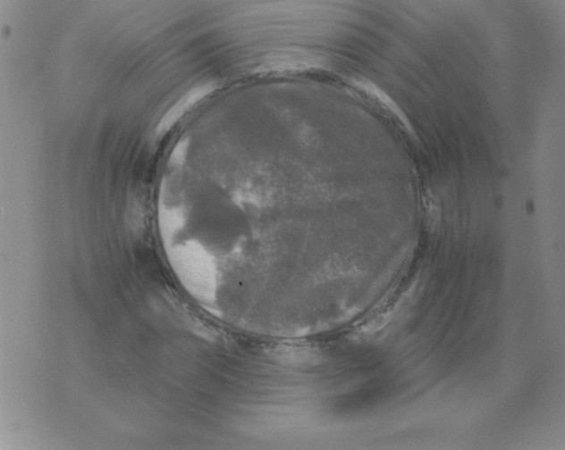 X0000075920874200610062205