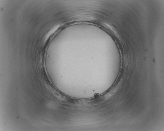 X0000075920875200610062205