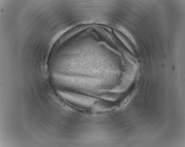 X0000075920876200610062205