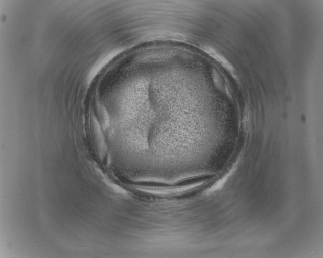 X0000075920877200610062205