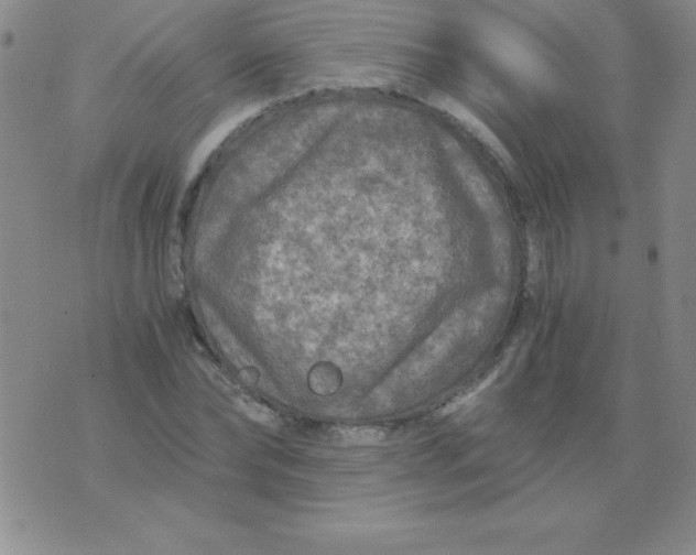 X0000075920878200610062205