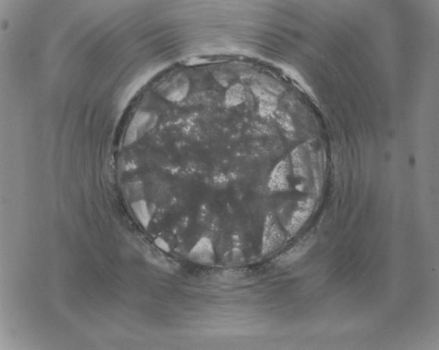 X0000075920879200610062205