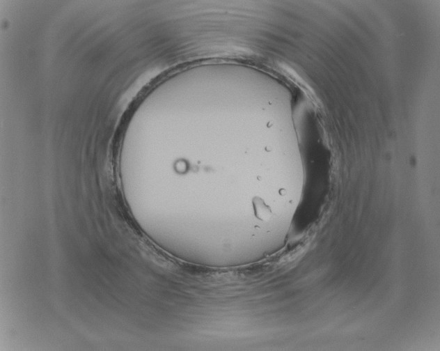 X0000075920883200610062205