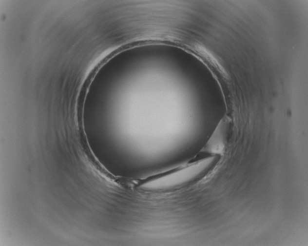 X0000075920884200610062205