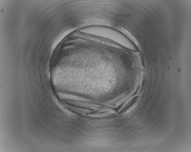 X0000075920885200610062205