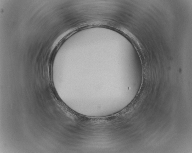 X0000075920886200610062205