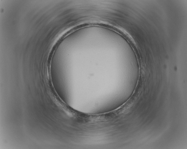 X0000075920887200610062205