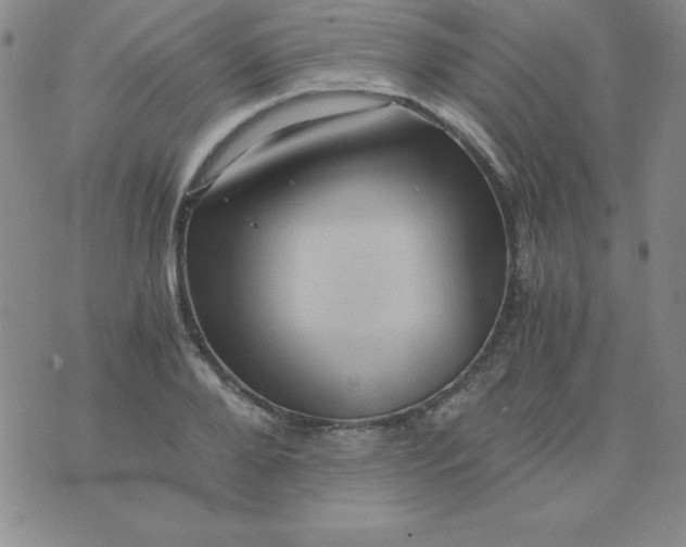 X0000075920888200610062205