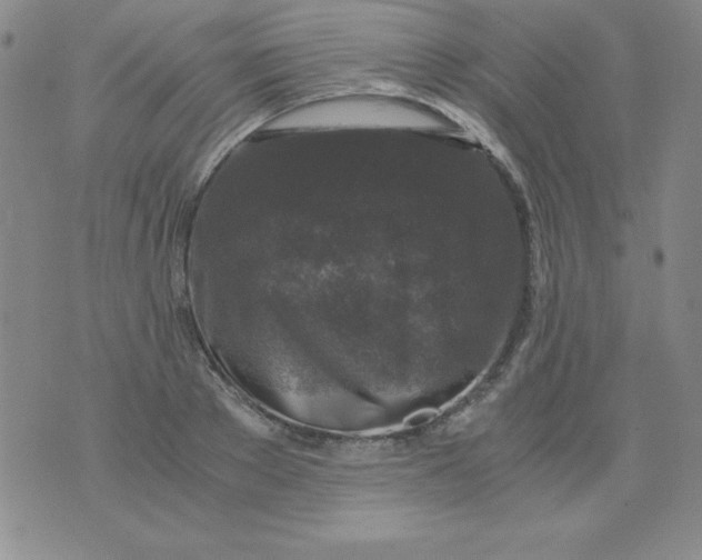 X0000075920889200610062205