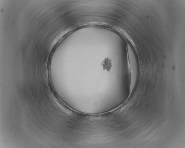 X0000075920890200610062205