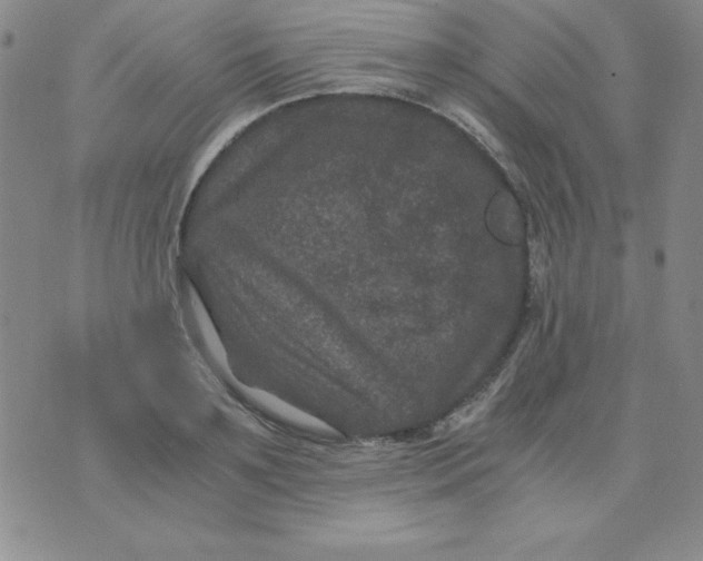 X0000075920891200610062205