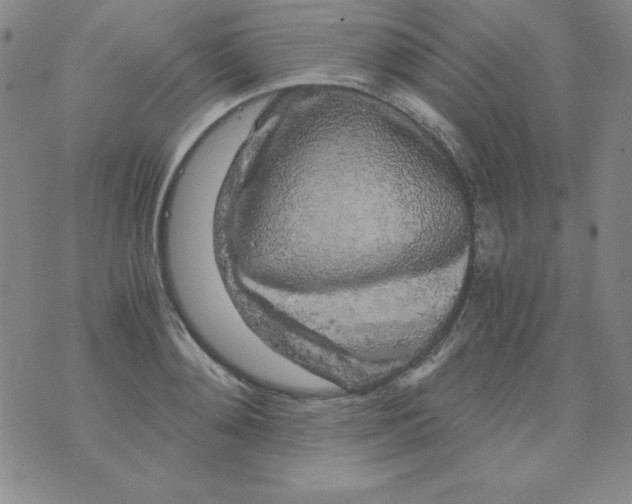 X0000075920892200610062205