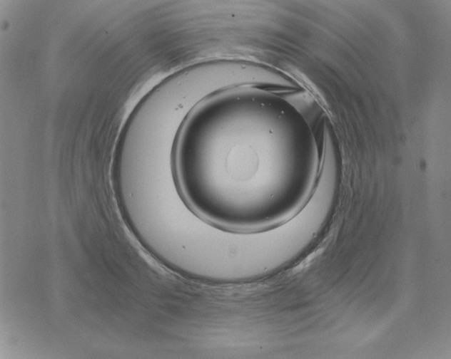 X0000075920893200610062205