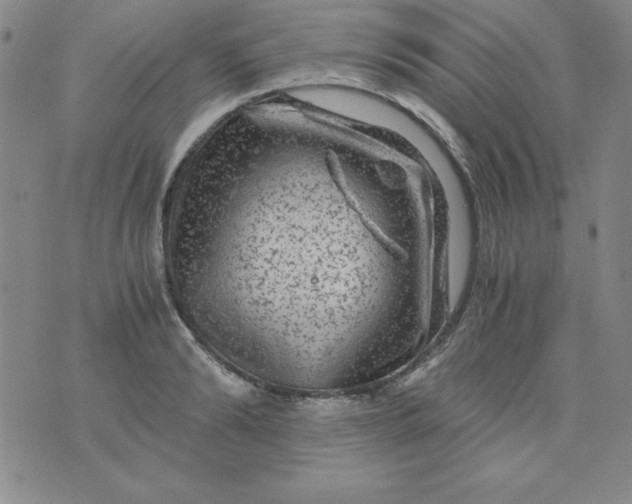 X0000075920894200610062205