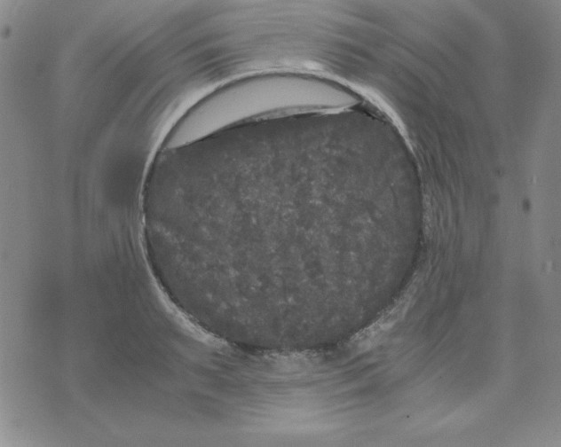 X0000075920895200610062205