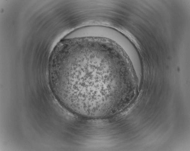 X0000075920896200610062205