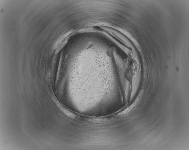 X0000075920897200610062205