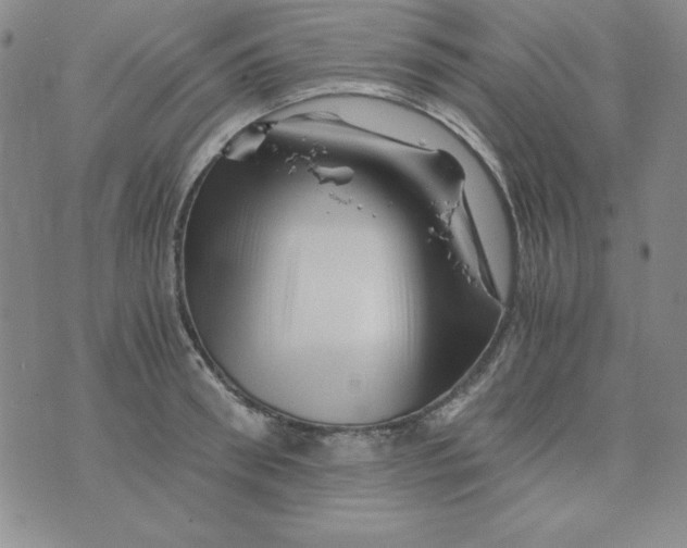 X0000075920898200610062205