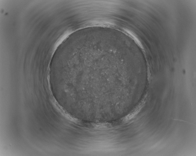 X0000075920899200610062205