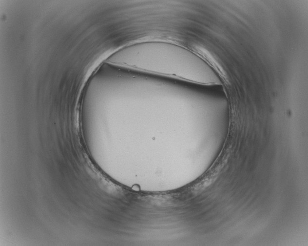 X0000075920900200610062205