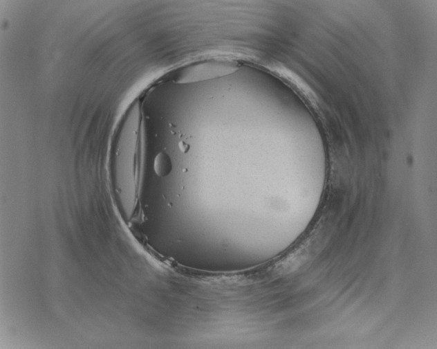 X0000075920902200610062205